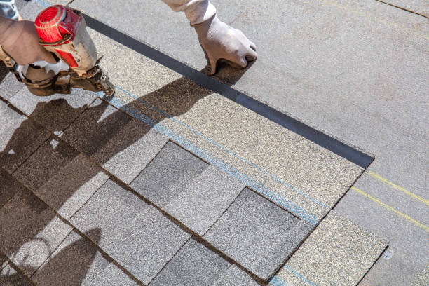 Best Roof Gutter Cleaning  in Canton, SD