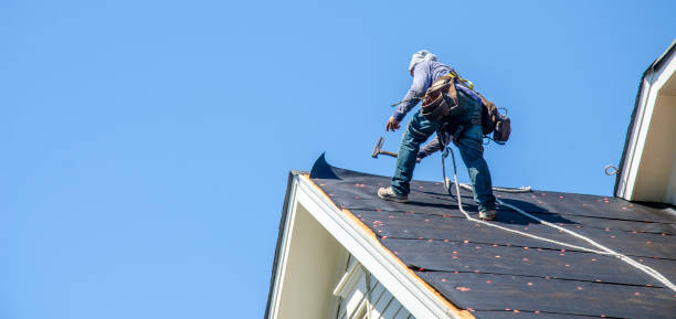Best Roof Waterproofing Services  in Canton, SD